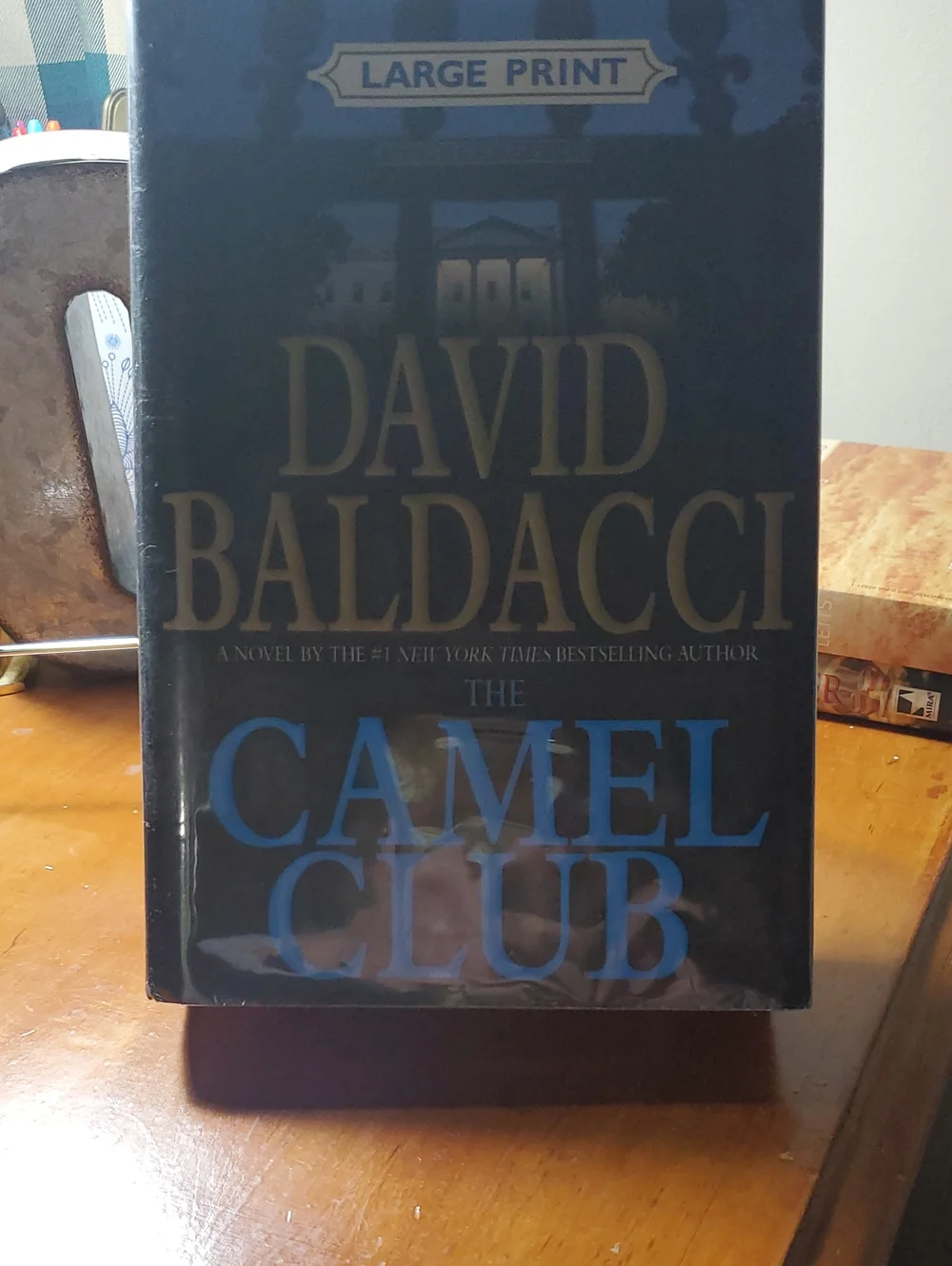 LARGE PRINT David Baldacci's The Camel Club